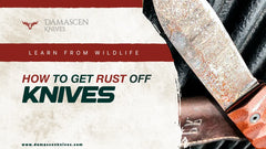 The Ultimate Guide on How to Get Rust Off a Knife Safely!