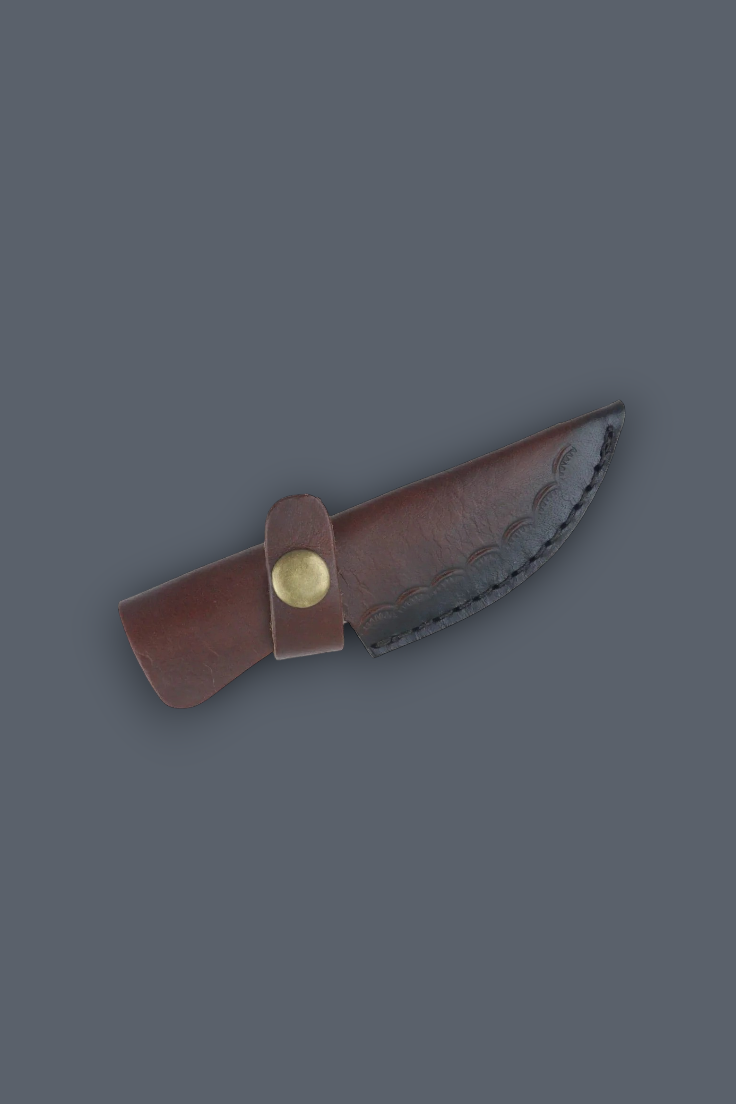 A small fixed-blade knife with a dark brown leather sheath and a brass snap button, shown on a solid dark gray background.