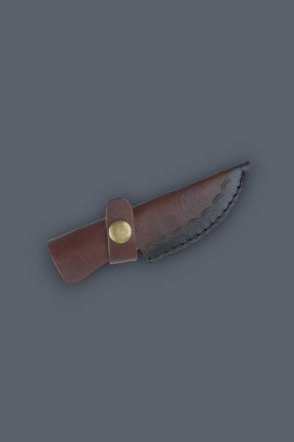 A small fixed-blade knife with a dark brown leather sheath and a brass snap button, shown on a solid dark gray background.