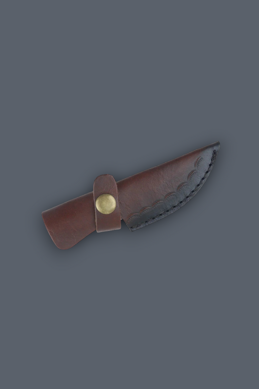 A small fixed-blade knife with a dark brown leather sheath and a brass snap button, shown on a solid dark gray background.