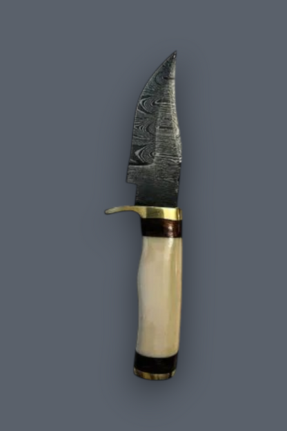 A fixed-blade knife with a patterned Damascus steel blade, a brass guard and pommel, and a curved cream-colored bone handle with dark brown and black inlay bands, shown against a solid dark gray background.