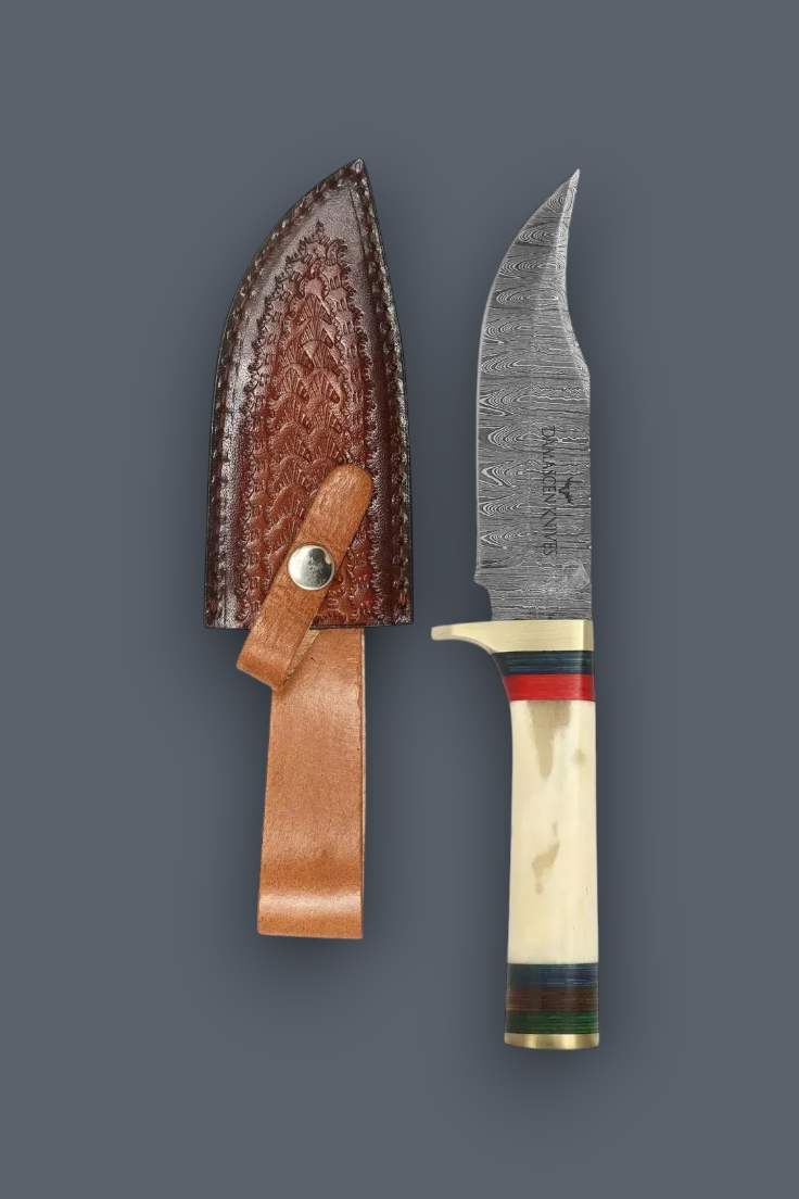 A fixed-blade knife with a patterned steel blade, cream handle, and red/green stripes, shown next to a brown leather sheath on a dark gray background.
