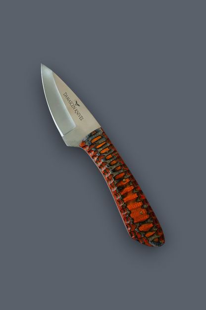 A fixed-blade knife with a satin-finished silver blade and a textured handle made from orange and black beetle wings, shown on a solid dark gray background.