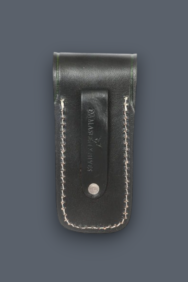 A Back Side  dark brown leather Sheath with a  button closure and an embossed eagle emblem on the flap, shown against a solid dark gray background.