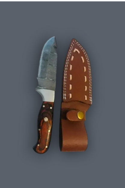 DAMASCEN KNIVES Hunting Knife Fixed Blade with Wood Handle Genuine Leather Sheath | Multicolor Wood