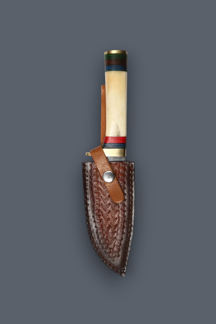 A fixed-blade knife with a cream-colored bone handle and striped green, red, and blue bands near the bolster, shown sheathed in a brown embossed leather sheath against a dark gray background.