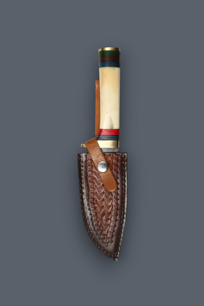 A fixed-blade knife with a cream-colored bone handle and striped green, red, and blue bands near the bolster, shown sheathed in a brown embossed leather sheath against a dark gray background.