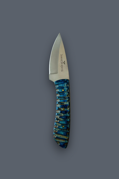 A fixed-blade knife with a silver steel blade and a textured handle made of blue, green, and gold inlay scales, shown against a solid dark gray background.