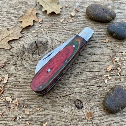 A folding pocket knife with a red and green marbled wood handle and a silver steel blade, resting on a rustic weathered wood surface with scattered oak leaves and stones.